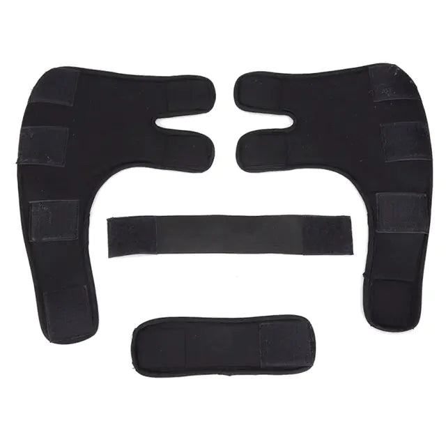 Pet Braces for Dogs & Cats – Support & Care