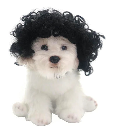 Cosplay Wig for Costumes Parties and Themes | toshomono-wig-cosplay-tool-for-costumes