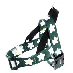Golden Retriever Labrador Vest-style Dog Leash | golden-retriever-labrador-vest-style-adult-dog-leash