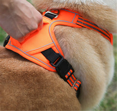 Durable Waterproof Pet Harness with Vertical Handle | durable-waterproof-pet-harness-with-vertical-handle | Dog Harnesses