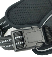 Durable Waterproof Pet Harness with Vertical Handle | durable-waterproof-pet-harness-with-vertical-handle | Dog Harnesses