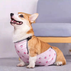 Breathable Summer Full Pet Vest for Small Dogs | summer-full-print-pet-vest-for-small-dogs
