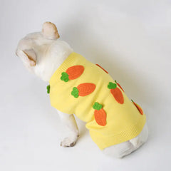 Thick Fluffy Dog Clothes for Autumn and Winter