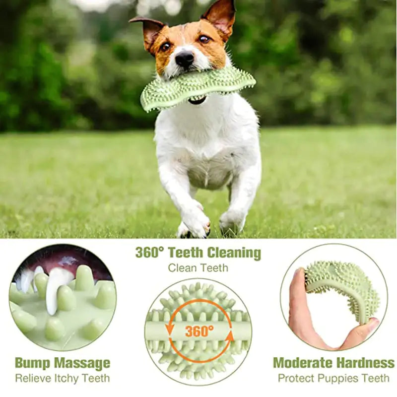 Bite-Resistant Dog Toy Ball for Interactive Chewing | bite-resistant-dog-toy-ball-for-interactive-chewing