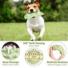 Bite-Resistant Dog Toy Ball for Interactive Chewing | bite-resistant-dog-toy-ball-for-interactive-chewing
