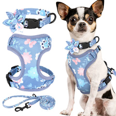 Beirui Cute Girl Dog Collars Harnesses & Leashes Set - Adjustable Dog Collar and Leash Set with Flower - Soft Mesh Dog Vest Harness for Puppies Small & Extra Small Dogs Cats (PurpleXXS) | beirui-cute-girl-dog-collars-harnesses-leashes-set-adjustable-dog-collar-and-leash-set-with-flower-soft-mesh-dog-vest-harness-for-puppies-small-extra-small-dogs-cats-purplexxs