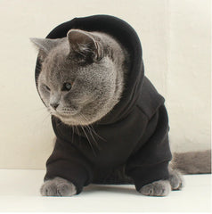 Stylish Pet Sweatshirts - Custom Fit
