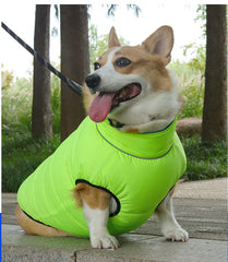 Dog Clothes for Small and Large Pets