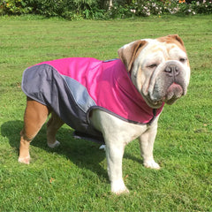 Waterproof Outdoor Pet Raincoat and Insulated Jacket | waterproof-outdoor-pet-raincoat-and-insulated-jacket