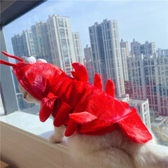 Halloween Cat Lobster Outfit for New Year and Christmas