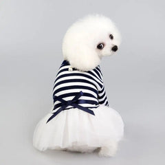 Spring and Summer Dog Clothes for Pets