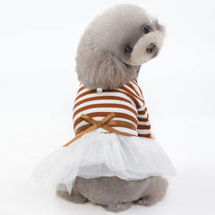 Spring and Summer Dog Clothes for Pets