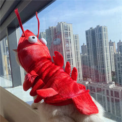 Halloween Cat Lobster Outfit for New Year and Christmas