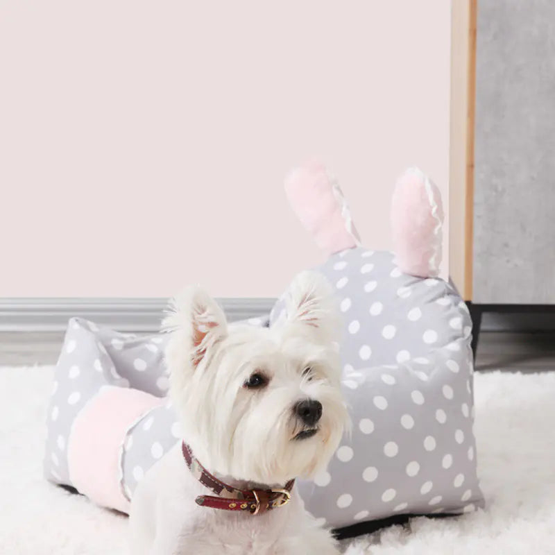 Universal Dog Bed with Washable Cushion for Pets | universal-dog-bed-with-washable-cushion-for-pets