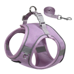 AIITLE Dog Harness with Leash – No-Pull Vest for Medium Dogs. Breathable mesh, reflective stripes, and escape-proof design make it perfect for outdoor use. | aiitle-dog-harness-for-medium-sized-dog-no-pull-dog-vest-with-a-leash-breathable-mesh-reflective-stripes-escape-proof-pet-outdoor-harnesses-puppy-essentials-for-medium-dogs-purple-m