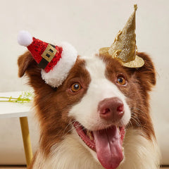 Witch Hat Dog Headdress for Halloween and Christmas