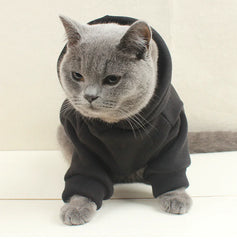 Stylish Pet Sweatshirts - Custom Fit
