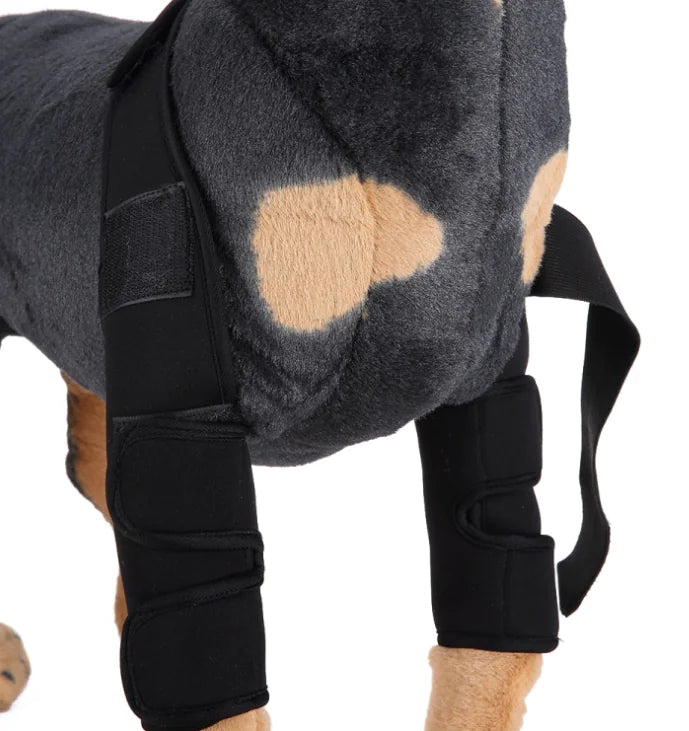 Supportive Dog Elbow Sleeve for Injury Recovery and Joint Protection - Leg Protector for Dogs | dog-knee-brace-and-leg-protector-for-injury-recovery