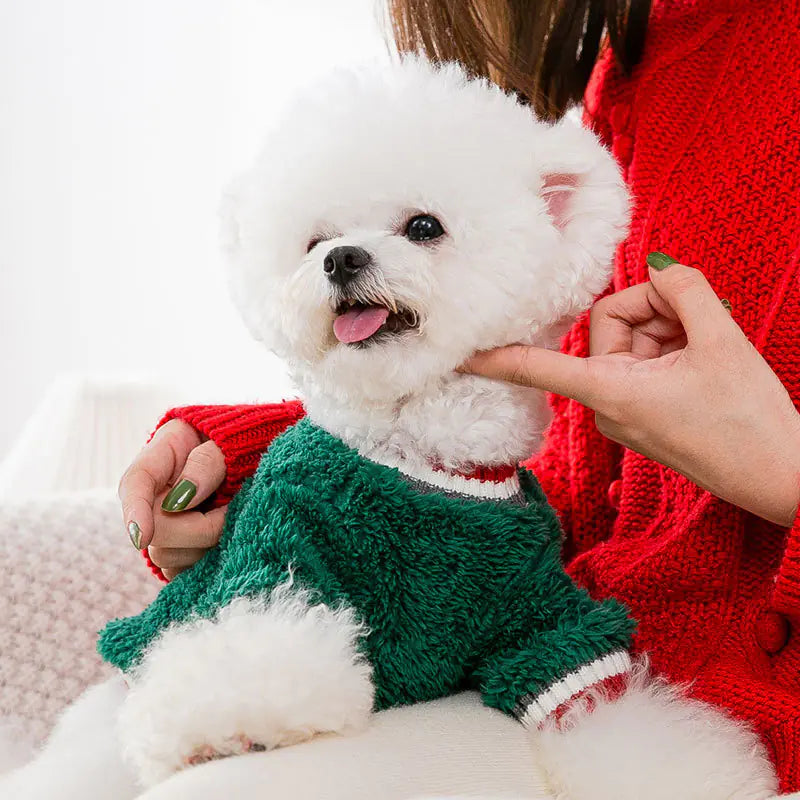 Puppy Dog Clothes for Christmas and Winter Seasons