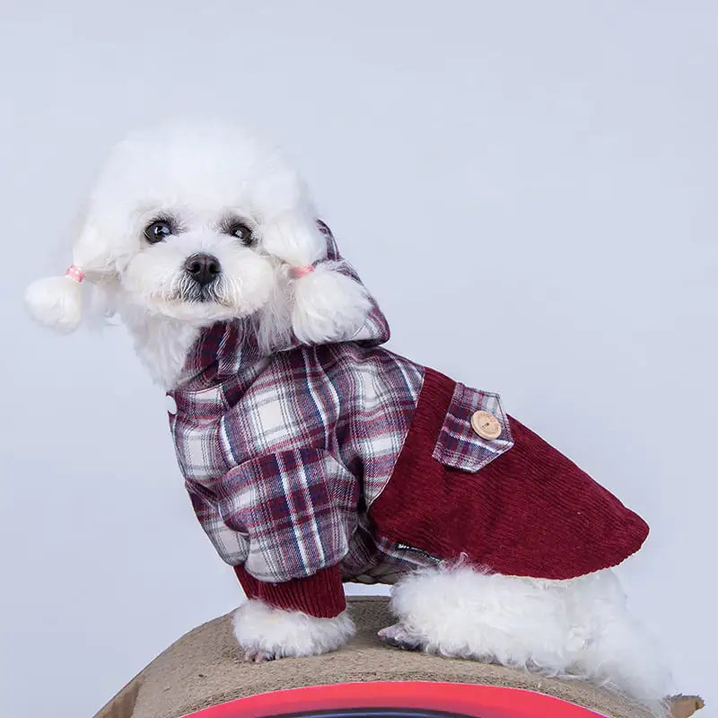 Teddy VIP Pomeranian Small Dog Cashmere Coat | teddy-vip-pomeranian-small-dog-cashmere-coat