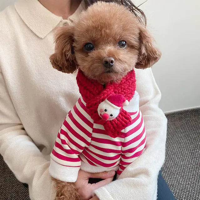 Simple Christmas Dog Clothes Set for Fashion Lovers