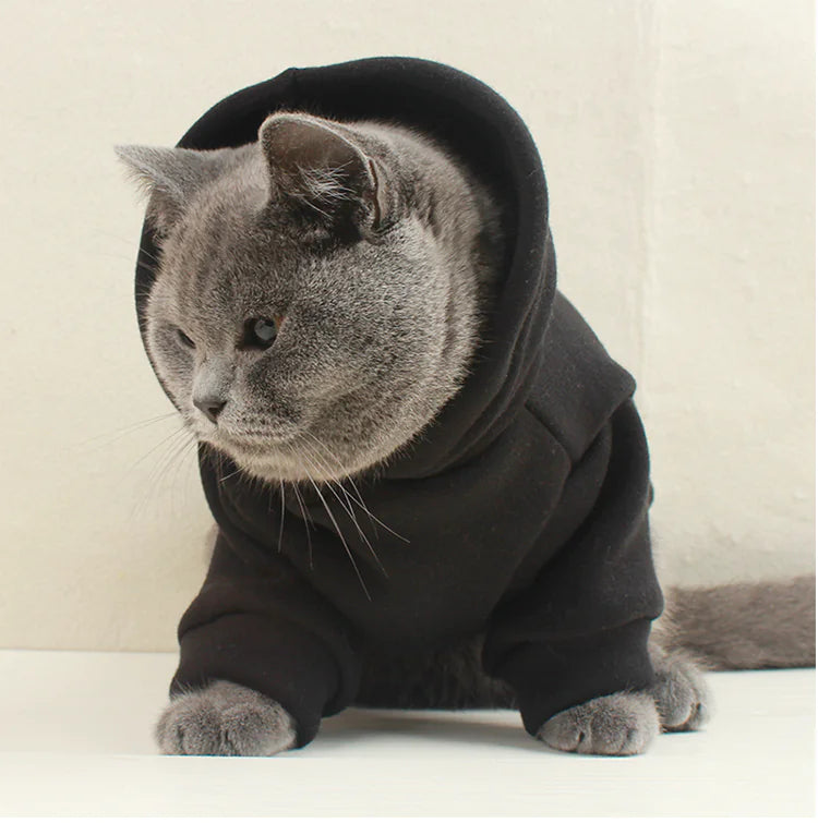 Stylish Pet Sweatshirts - Custom Fit