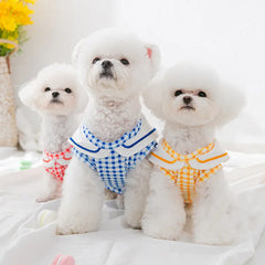 Dogs/Cats Pet Clothing – Stylish & Comfy | cat-shirts-for-small-and-medium-dogs-pet-clothing