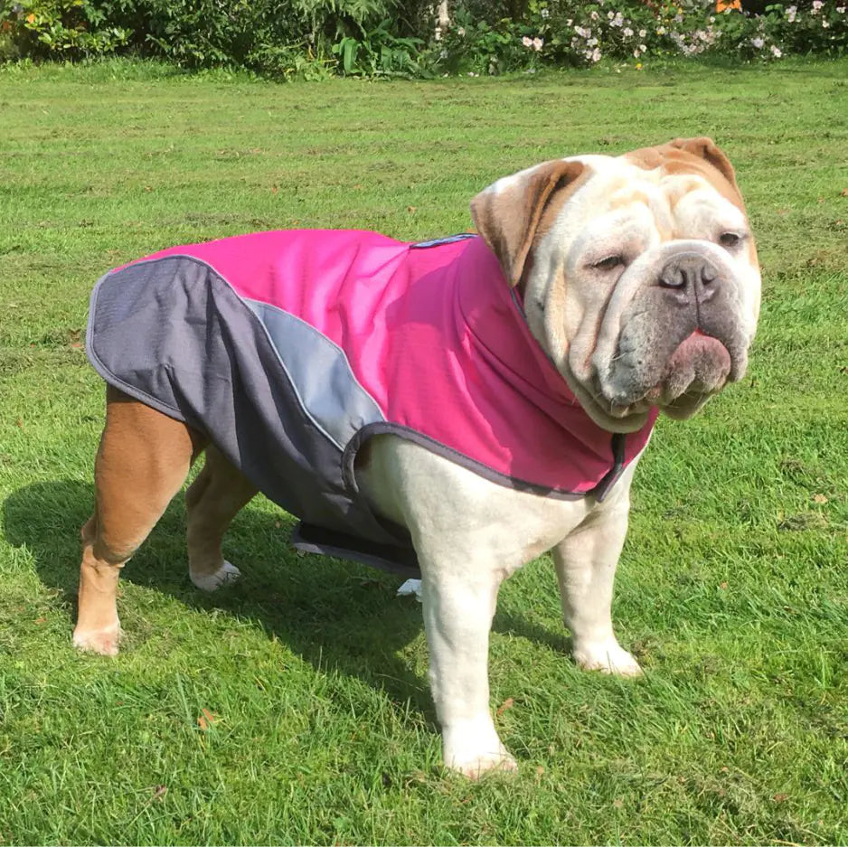 Waterproof Outdoor Pet Raincoat and Insulated Jacket | waterproof-outdoor-pet-raincoat-and-insulated-jacket