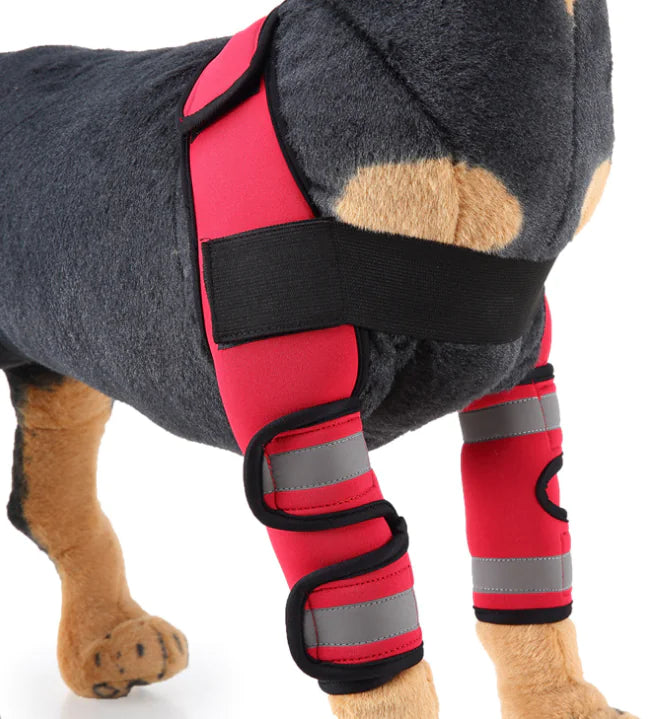 Supportive Dog Elbow Sleeve for Injury Recovery and Joint Protection - Leg Protector for Dogs | dog-knee-brace-and-leg-protector-for-injury-recovery