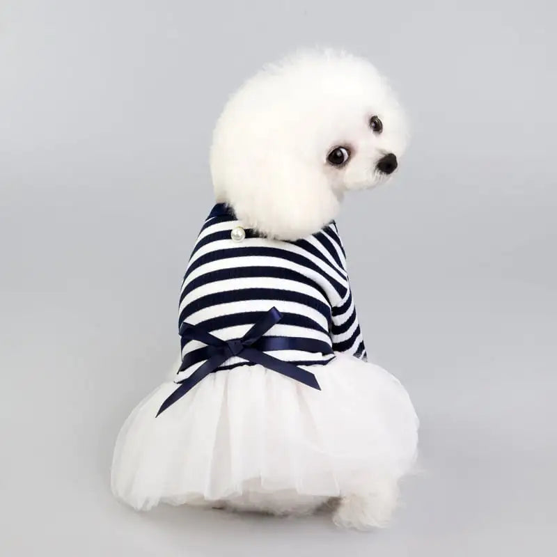Spring and Summer Dog Clothes for Pets
