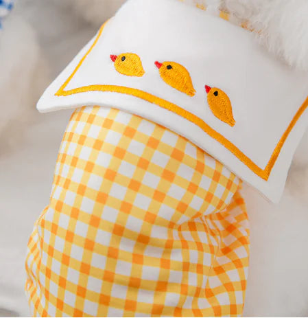 Dogs/Cats Pet Clothing – Stylish & Comfy | cat-shirts-for-small-and-medium-dogs-pet-clothing