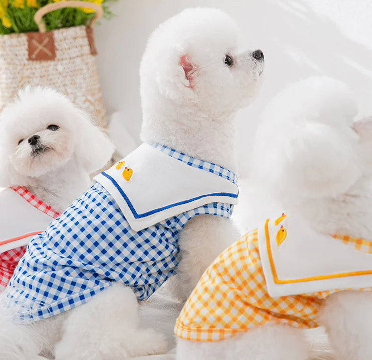 Dogs/Cats Pet Clothing – Stylish & Comfy | cat-shirts-for-small-and-medium-dogs-pet-clothing