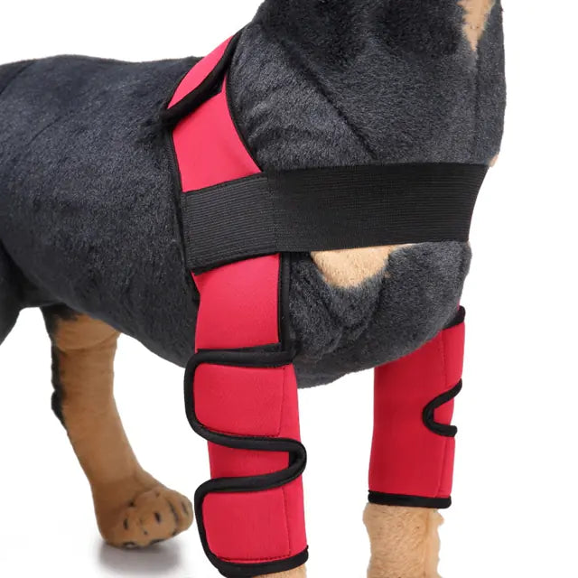 Supportive Dog Elbow Sleeve for Injury Recovery and Joint Protection - Leg Protector for Dogs | dog-knee-brace-and-leg-protector-for-injury-recovery