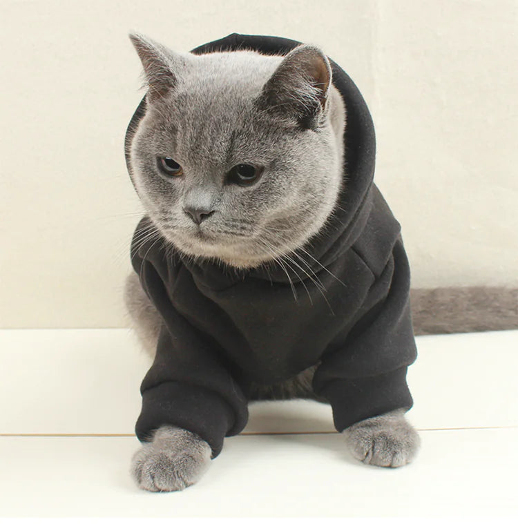Stylish Pet Sweatshirts - Custom Fit